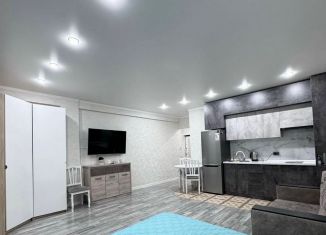 Сдаю в аренду 1-ком. квартиру, 30.5 м2, Томск, Тверская улица, 117, Кировский район