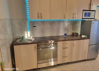 Сдаю квартиру студию, 27.3 м2, Карелия, Боровая улица, 44