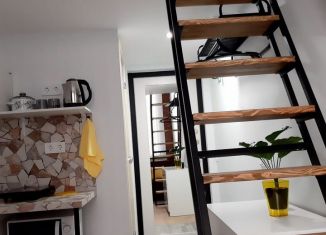 Сдам квартиру студию, 15 м2, Санкт-Петербург, 8-я линия Васильевского острова, 41