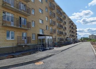 Продажа однокомнатной квартиры, 29.1 м2, рабочий посёлок Шексна, улица Труда, 31