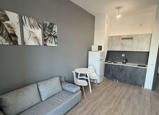 Квартира в аренду студия, 28 м2, Кудрово, Солнечная улица, 2