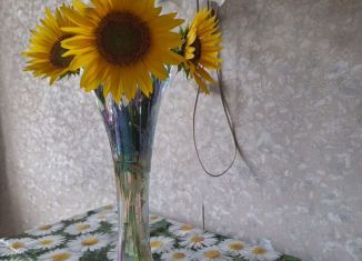 Продажа 2-ком. квартиры, 55.5 м2, Татарстан, улица Лядова, 5