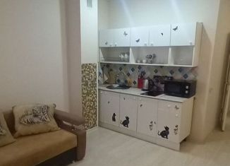 Сдача в аренду квартиры студии, 27 м2, Ростов-на-Дону, Стабильная улица, 3с2, ЖК Вест Сайд