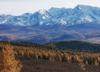 Продаю участок, 108 сот., Курайское сельское поселение