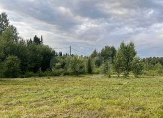 Продаю земельный участок, 11 сот., деревня Косотуриха