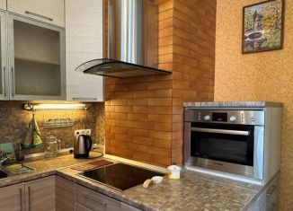 Сдаю в аренду квартиру студию, 29.1 м2, Санкт-Петербург, улица Ушинского, 3к3, Калининский район
