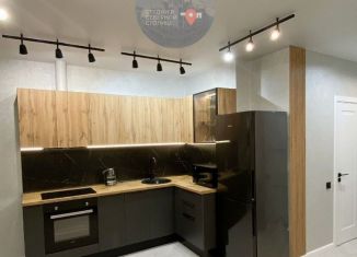 Квартира на продажу студия, 25 м2, Санкт-Петербург, Невский проспект, 45/2, муниципальный округ Владимирский