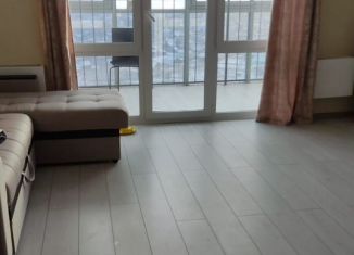 Сдаю в аренду квартиру студию, 33 м2, Новосибирск, Ленинский район, Междуреченская улица, 1/2