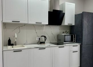 Продается 1-ком. квартира, 40 м2, Краснодар, Восточно-Кругликовская улица, 30, микрорайон Панорама