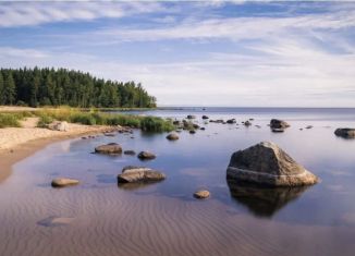 Продаю земельный участок, 100 сот., деревня Кирконкюля