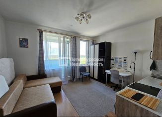 Продажа квартиры студии, 23.8 м2, Кудрово, Столичная улица, 5к2