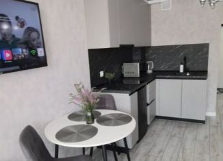 Сдаю квартиру студию, 25 м2, Краснодар, улица имени Жлобы, 139, микрорайон Панорама