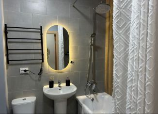 Сдается в аренду квартира студия, 26 м2, Екатеринбург, улица Данилы Зверева, 5А, ЖК Цветной Бульвар