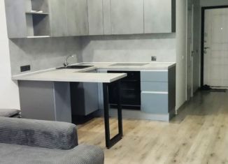 Сдаю квартиру студию, 30 м2, Ивантеевка, Студенческий проезд, 35