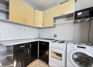 1-комнатная квартира в аренду, 30 м2, посёлок Берёзовый, улица имени Туполева А.Н., 1, ЖК Прогресс