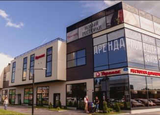 Сдаю в аренду помещение свободного назначения, 81.4 м2, Санкт-Петербург, Заневский проспект, 65