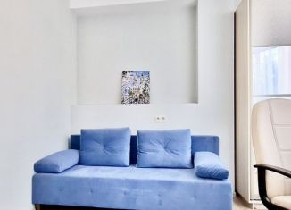 Трехкомнатная квартира в аренду, 50 м2, Сочи, Виноградная улица, 123/4, микрорайон Новый Сочи