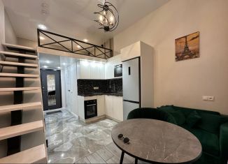 Сдаю квартиру студию, 22 м2, Москва, аллея Первой Маёвки, 15с1, ВАО