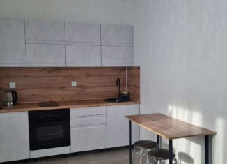 Сдается в аренду квартира студия, 27 м2, Новосибирск, Выборная улица, 133/1, метро Золотая Нива