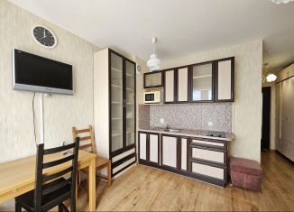 Аренда квартиры студии, 23 м2, Санкт-Петербург, Советский проспект, 39к1