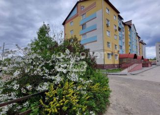 Сдача в аренду 1-ком. квартиры, 43 м2, Бор, улица Победы, 24к2