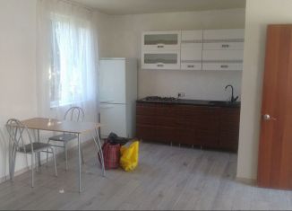 Сдается в аренду дом, 30 м2, станица Раевская, Виноградный переулок, 25А