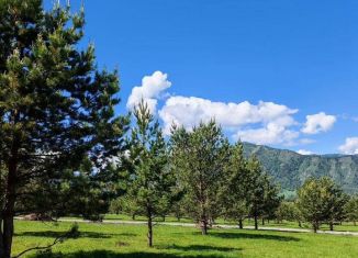 Земельный участок на продажу, 12 сот., село Элекмонар