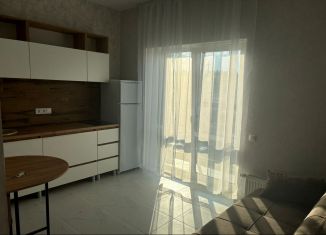 Сдам квартиру студию, 20 м2, Тульская область, Шоссейный проезд, 25к2