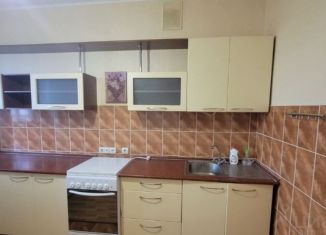 Аренда однокомнатной квартиры, 45 м2, Йошкар-Ола, Ленинский проспект, 8, микрорайон Ленинский