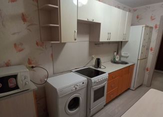 Сдается однокомнатная квартира, 30 м2, Тюмень, бульвар Бориса Щербины, 16, Восточный округ