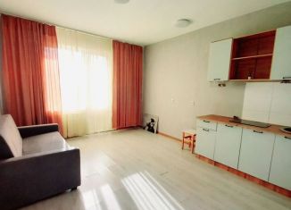 Сдача в аренду квартиры студии, 26 м2, Новосибирск, Гурьевская улица, 177/1, метро Золотая Нива