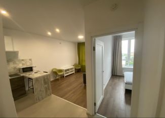 Сдача в аренду 1-ком. квартиры, 36.5 м2, Москва, Красноказарменная улица, 14Ак6, ЮВАО