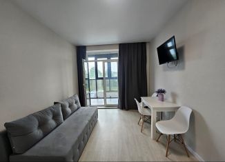 Сдам в аренду 1-ком. квартиру, 32.7 м2, Тульская область, Самоварная улица, 8