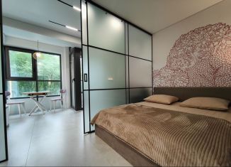 Сдача в аренду квартиры студии, 28 м2, Сочи, микрорайон Заречный, Пластунская улица, 104Бк1