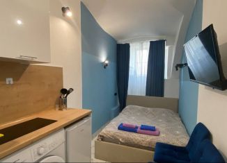 Квартира на продажу студия, 12 м2, Санкт-Петербург, улица Чехова, 3