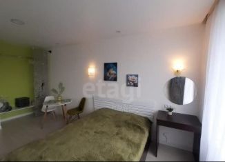 Продается квартира студия, 24.3 м2, Владивосток, Стрелковая улица, 18к1, ЖК Атмосфера