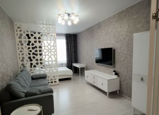 Однокомнатная квартира в аренду, 39 м2, Екатеринбург, улица Анатолия Мехренцева, 42, метро Чкаловская