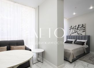 Продается 1-ком. квартира, 23.8 м2, Сочи, Навагинская улица, 11А, микрорайон Центральный