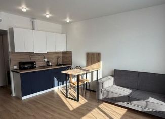 Сдаю квартиру студию, 23.6 м2, Москва, Амурская улица, 2к2, ВАО