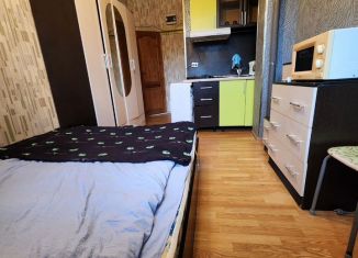 Сдача в аренду однокомнатной квартиры, 30 м2, Санкт-Петербург, Андреевская улица, 3