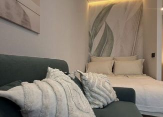 Аренда квартиры студии, 24.6 м2, Сыктывкар, район Орбита, Петрозаводская улица