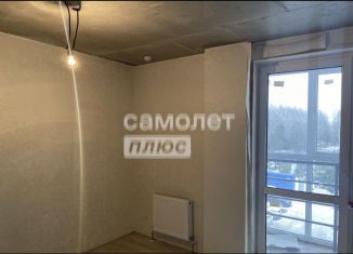 Продается квартира студия, 23 м2, Бор, улица 3-й Микрорайон, 5