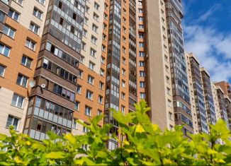Продаю 2-комнатную квартиру, 65 м2, Санкт-Петербург, Комендантский проспект, 51к1, муниципальный округ Коломяги