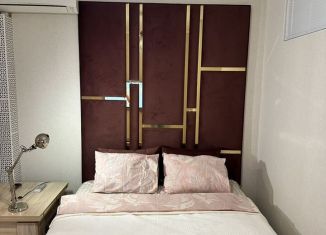 Сдача в аренду 1-ком. квартиры, 29 м2, Сочи, улица Пирогова, 20