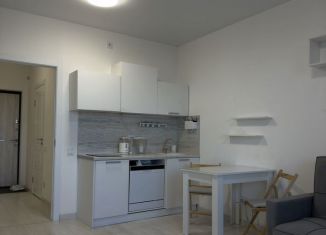 Сдаю квартиру студию, 23.6 м2, Санкт-Петербург, Суздальское шоссе, 18к4, метро Проспект Просвещения