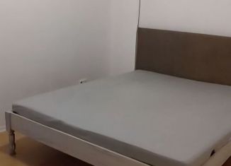 Сдается в аренду 1-комнатная квартира, 43.2 м2, Санкт-Петербург, Стародеревенская улица, 6к1