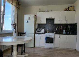 Продам 2-комнатную квартиру, 62 м2, деревня Анкудиновка, Русская улица, 14, ЖК КМ Анкудиновский Парк