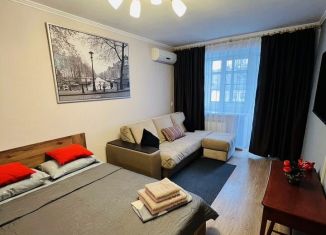 Аренда 1-ком. квартиры, 32 м2, Ростов-на-Дону, Доломановский переулок, 70