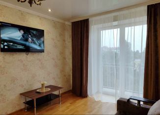 Сдается в аренду 1-комнатная квартира, 45 м2, Калининград, улица Нансена, 73