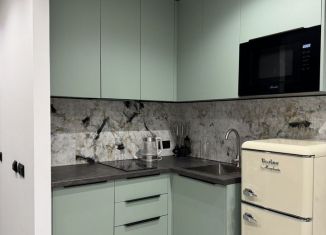 Квартира в аренду студия, 28 м2, Сочи, Дагомысская улица, 27, микрорайон Больничный Городок